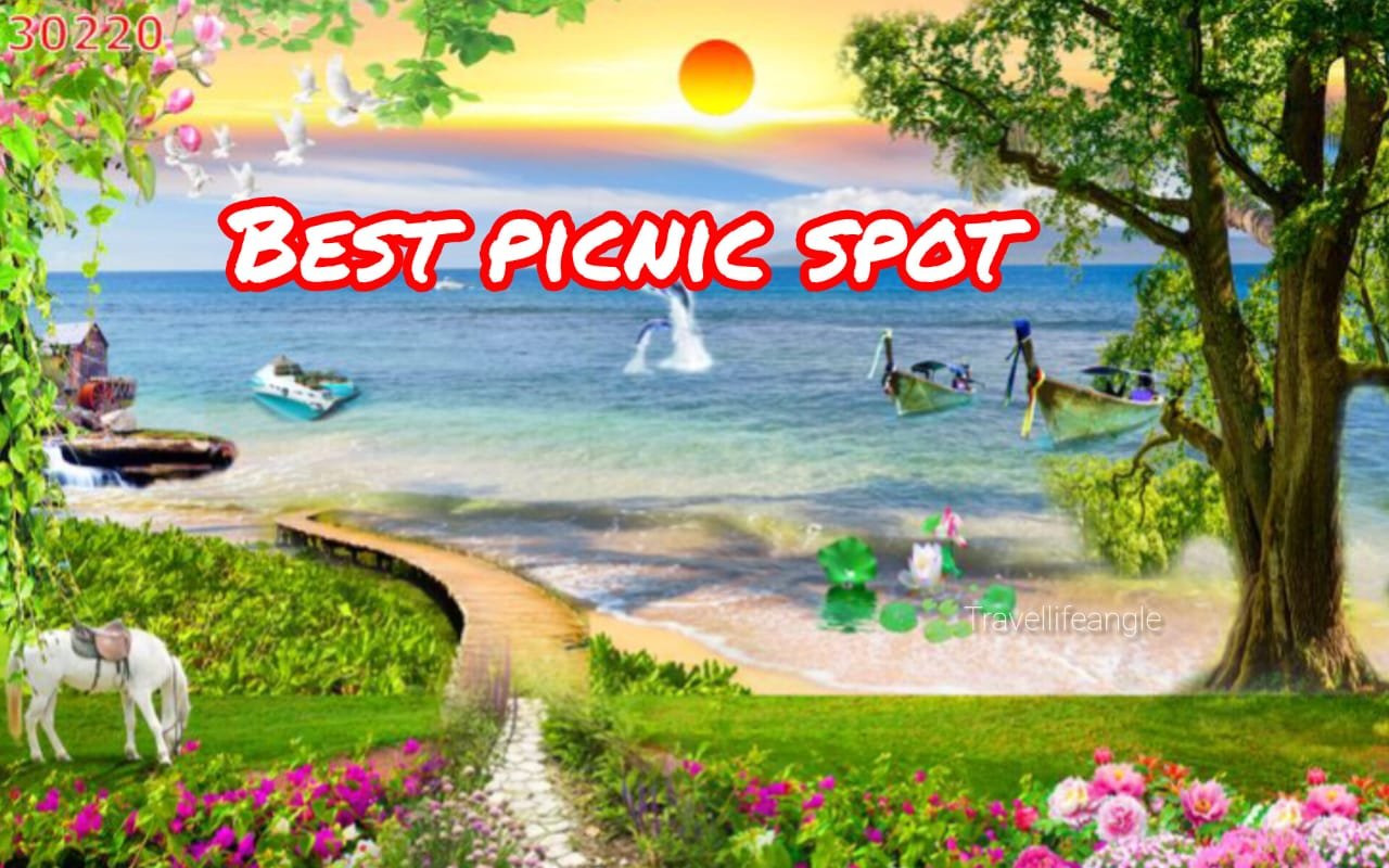 बेहतरी और रोचक पिकनिक प्वाइंट के नाम Better and interesting picnic point names