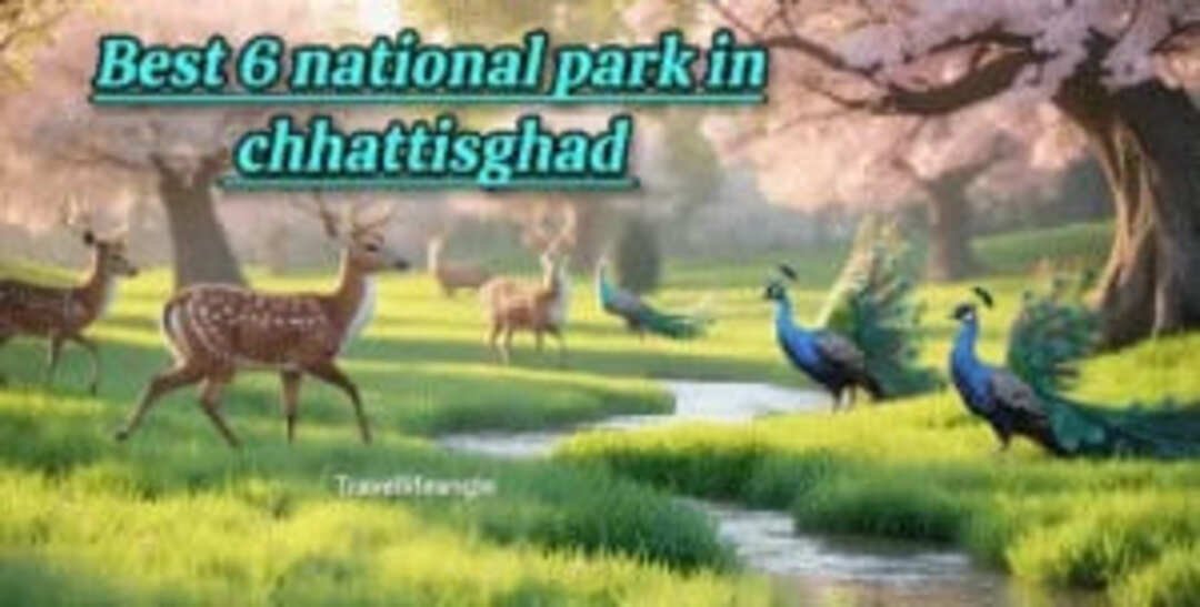 छत्तीसगढ़ के 6 राष्ट्रीय उद्यान