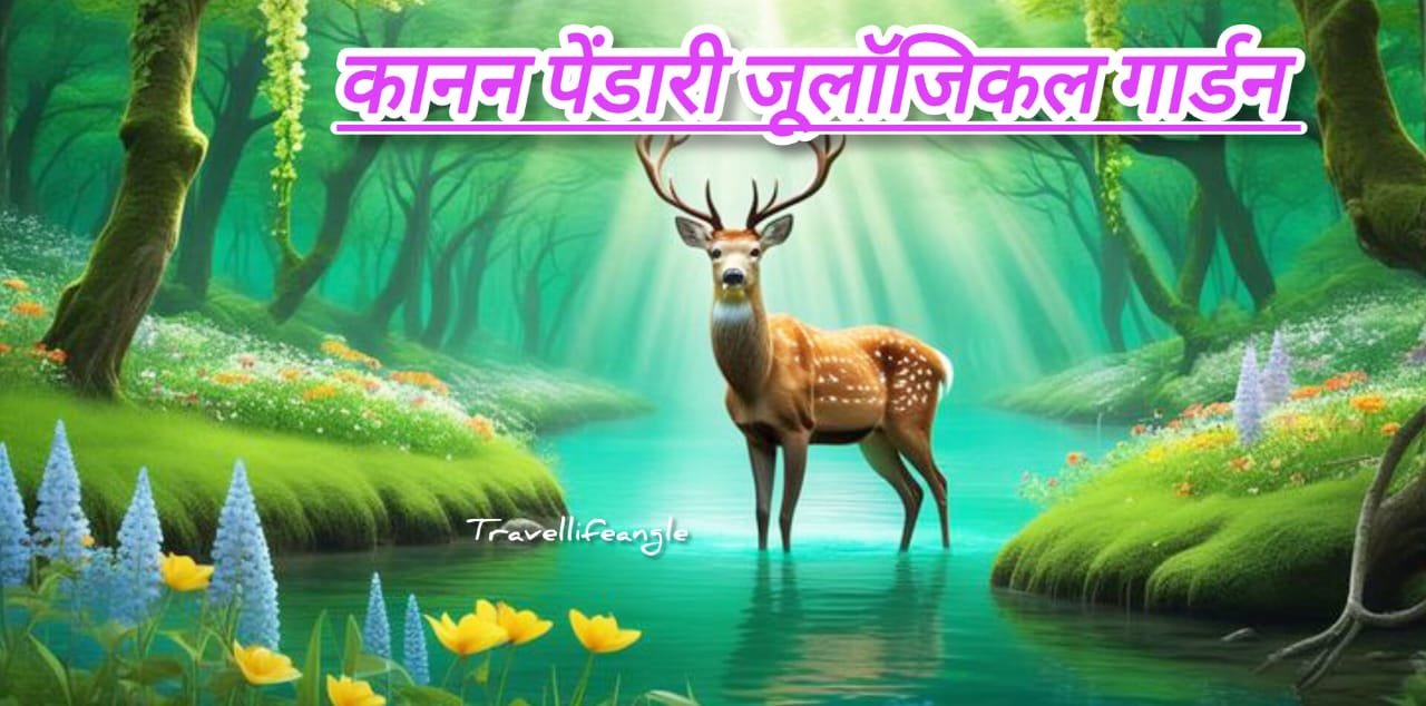 कानन पेंडारी best जूलॉजिकल गार्डन बिलासपुर के सुन्दर पर्यटन स्थल