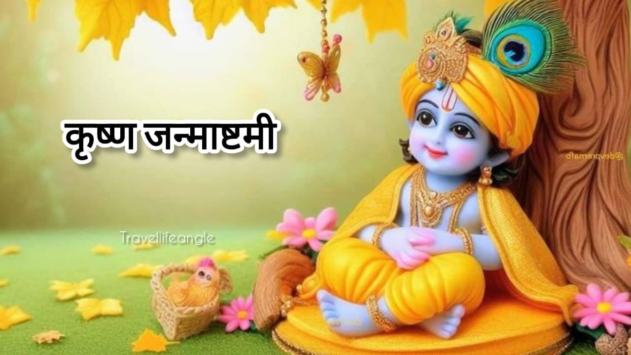 कृष्णा जन्माष्टमी महोत्सव सप्तदेव मंदिर कोरबा