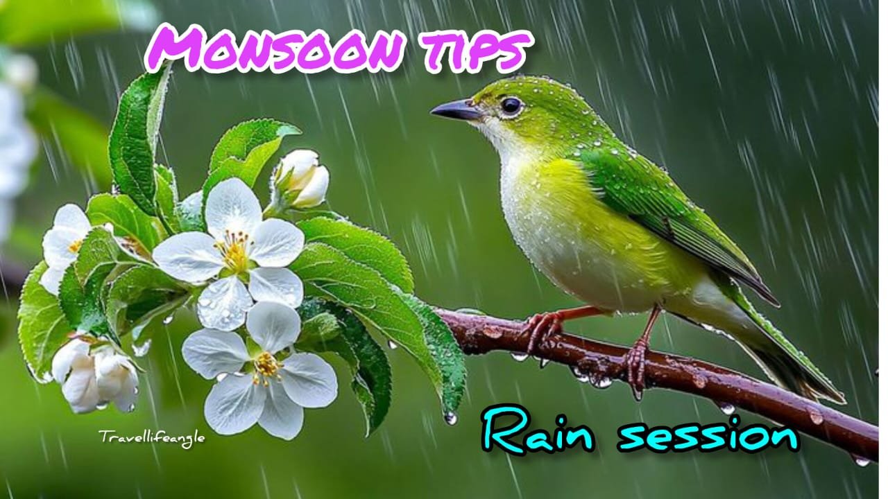 बारिश के मौसम में घूमने के लिए आसन टिप्स Posture Tips for Traveling in the Rainy Season
