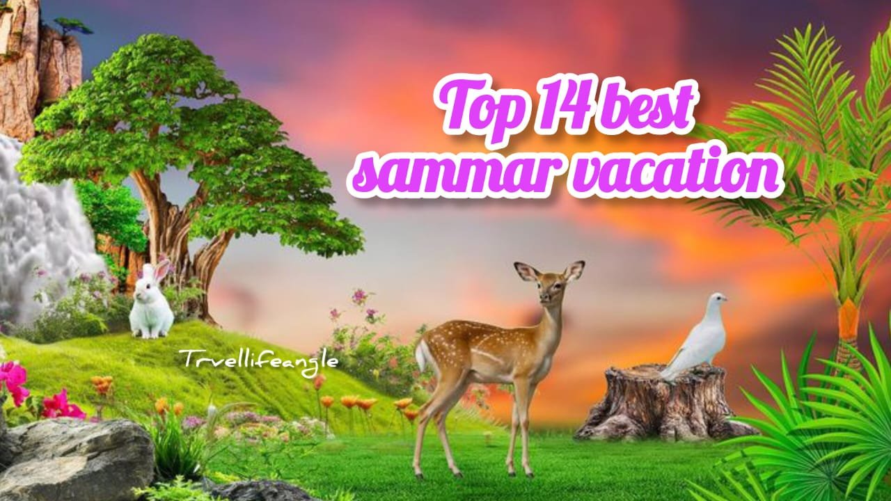 Top 14 best Sammar vacation hill station छुट्टी को स्पेशल बनने के लिए best hill station