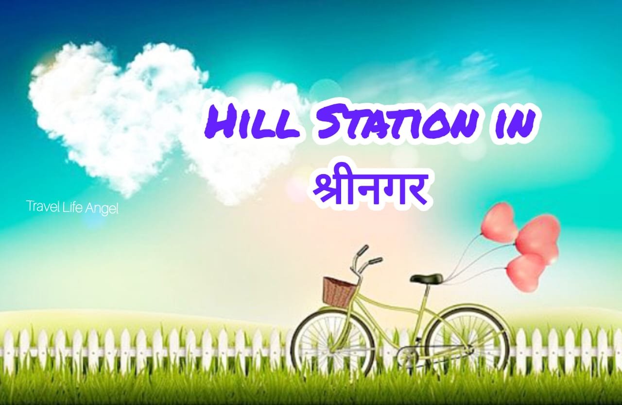 गर्मी के मौसम में श्रीनगर का करें शेयर Share Srinagar in summer season