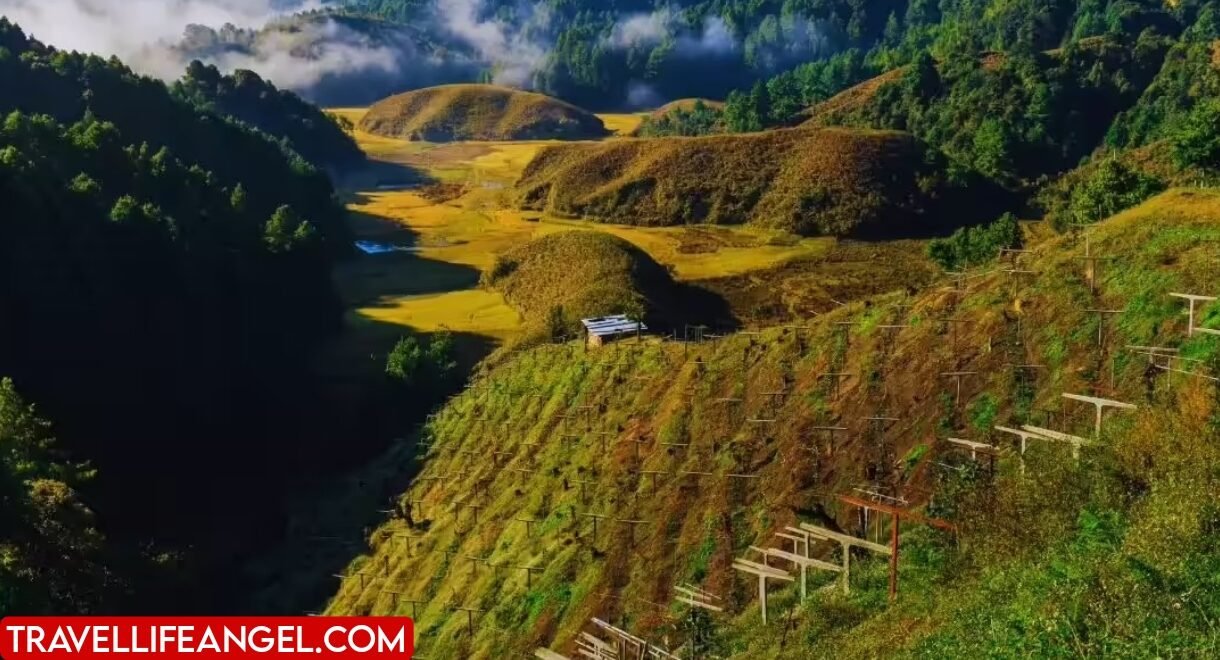 Ziro Valley Arunachal Pradesh Culture | Apatani Tribe Tattoos, Nose Plugs & Unique Lifestyle