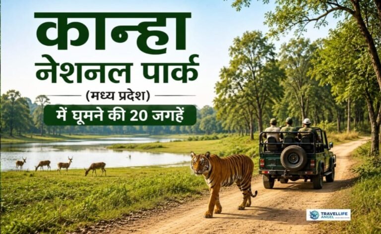 कान्हा नेशनल पार्क (मध्य प्रदेश) में घूमने की 20 जगहें टाइगर सफारी, टिकट, टाइमिंग, बजट