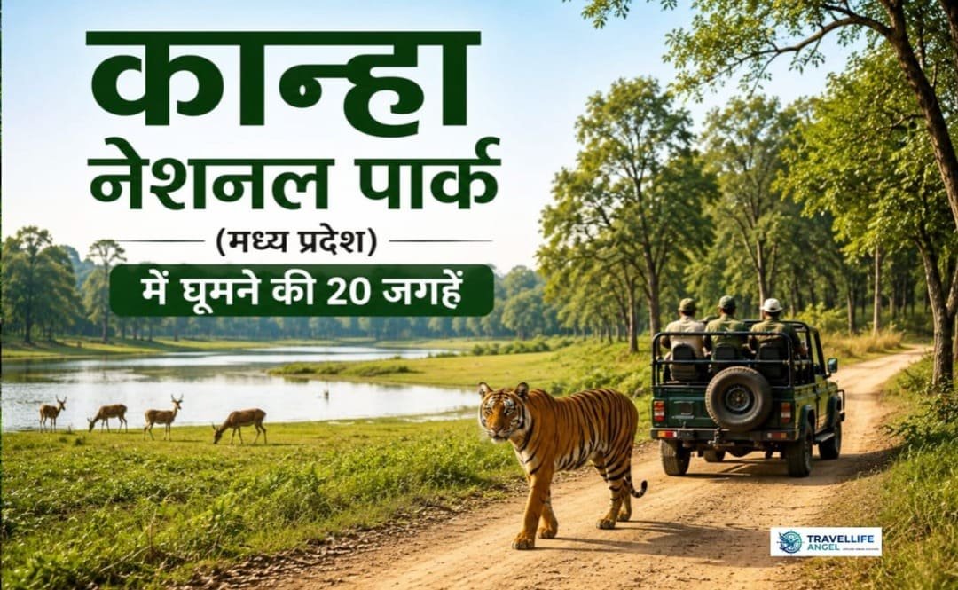 कान्हा नेशनल पार्क (मध्य प्रदेश) में घूमने की 20 जगहें टाइगर सफारी, टिकट, टाइमिंग, बजट