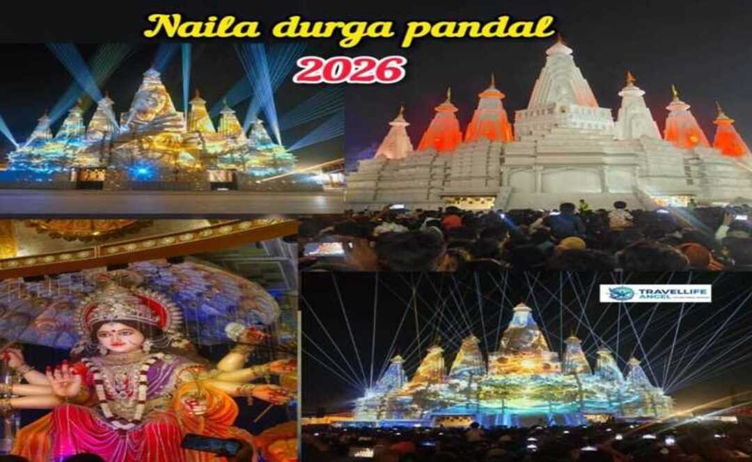 Naila Durga Pandal 2026 Janjgir-Champa, Chhattisgarh